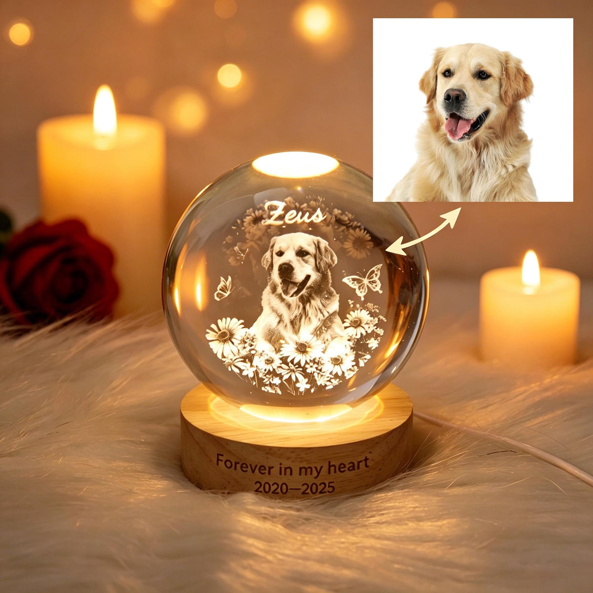 Personalized Pet Memorial Crystal Ball Night Light, Pet Portrait Crystal Ball Lamp, Pet Loss Keepsake, Pet Lover Gift, Dog Cat Memorial Gift