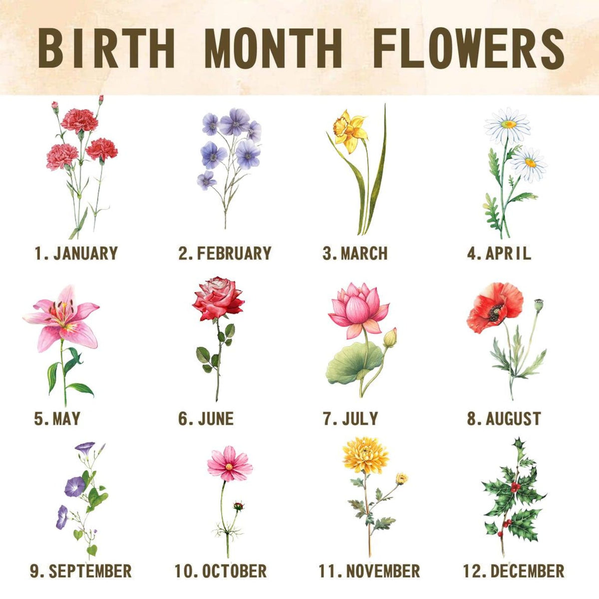 Custom First Mom Now Grandma Vase, Personalized Birth Month Flower Ceramic Jug, Mothers Day Gift For Nana, Grandma Garden Pitcher Decor