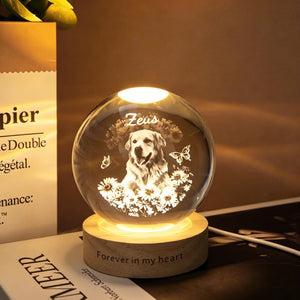 Personalized Pet Memorial Crystal Ball Night Light, Pet Portrait Crystal Ball Lamp, Pet Loss Keepsake, Pet Lover Gift, Dog Cat Memorial Gift