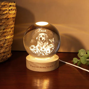 Personalized Pet Memorial Crystal Ball Night Light, Pet Portrait Crystal Ball Lamp, Pet Loss Keepsake, Pet Lover Gift, Dog Cat Memorial Gift