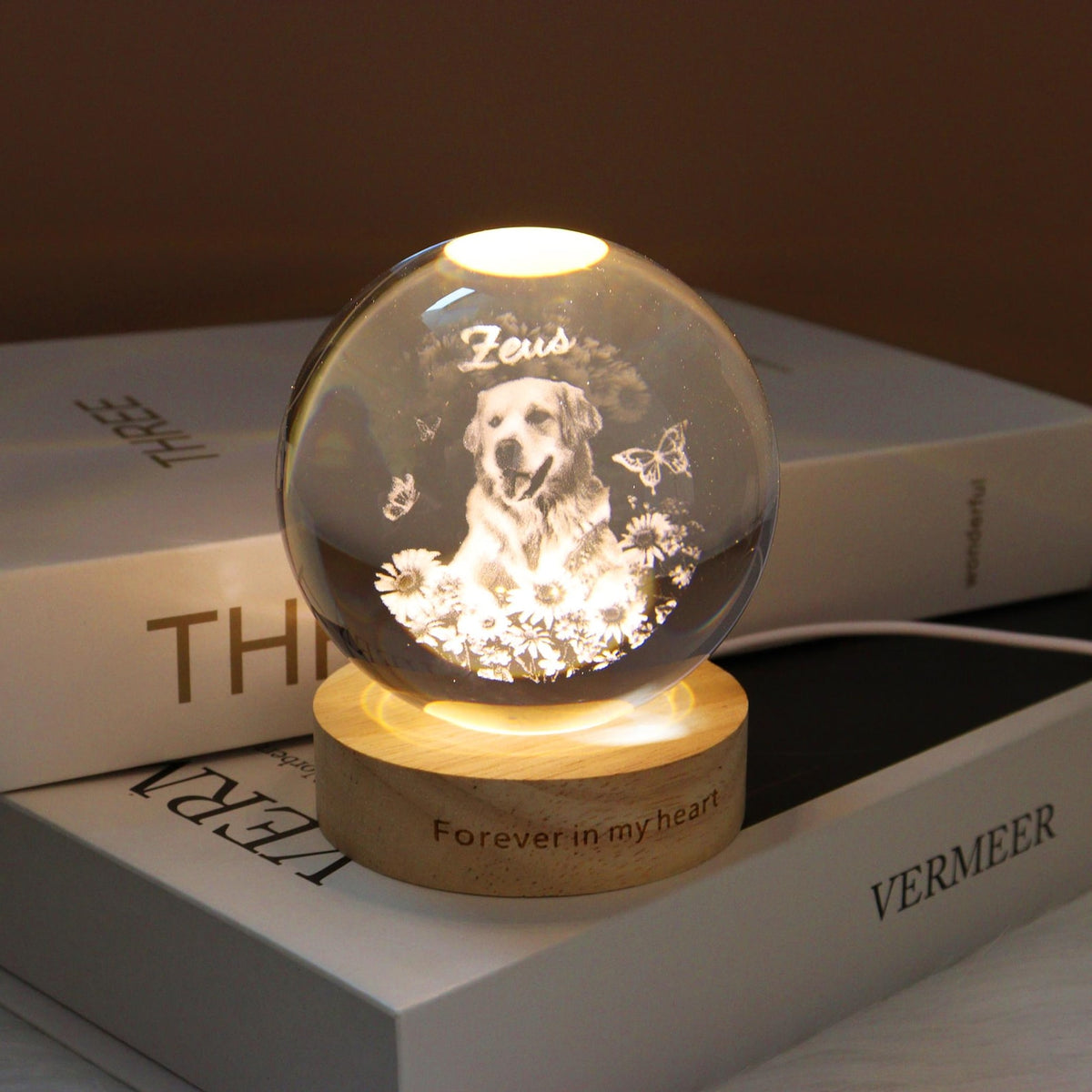 Personalized Pet Memorial Crystal Ball Night Light, Pet Portrait Crystal Ball Lamp, Pet Loss Keepsake, Pet Lover Gift, Dog Cat Memorial Gift