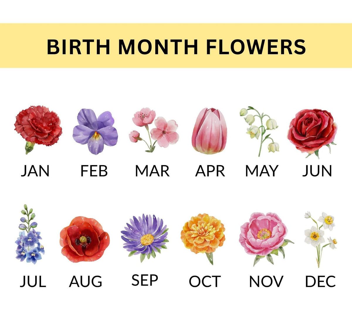 70th Birthday Gift For Women, Personalized Birth Flower Plant Pot, Custom Name Chapter 70 Planter