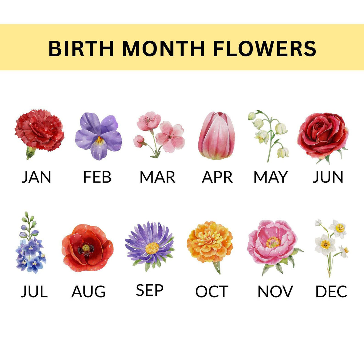 Personalized 40th Birthday Gift For Women, 40th Birthday Flower Pot, Custom Name Chapter 40 Planter