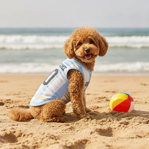 Argentina Pet Soccer Jersey, Custom Dog Jersey with Name and Number, Argentina Inspired Dog Shirt, Personalized Soccer Pet Outfit