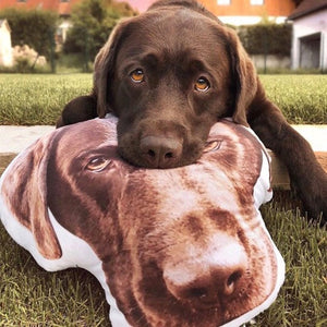 Custom Face Personalized Pet Large Photo Pillow, Dog Pillow, Cat Pillow,Home Decor | Double-sided Print, Valentine's Day Gift, Hospital Gift Dog Lovers Gift