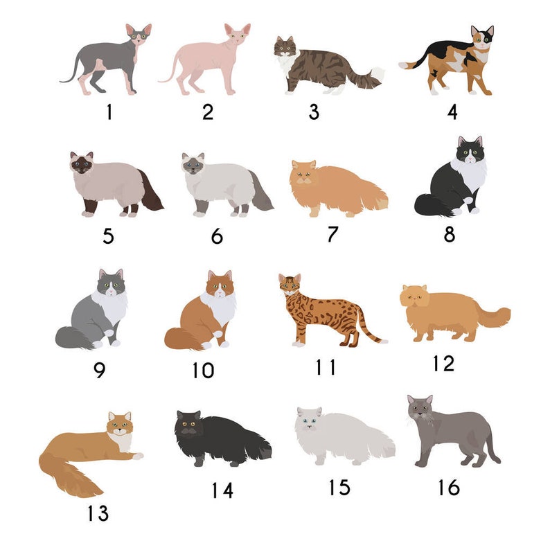 Personalised Cat Christmas Hanging Decoration