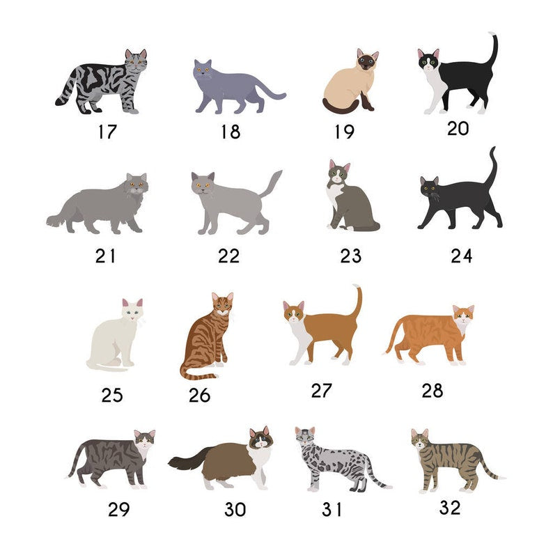 Personalised Cat Christmas Hanging Decoration