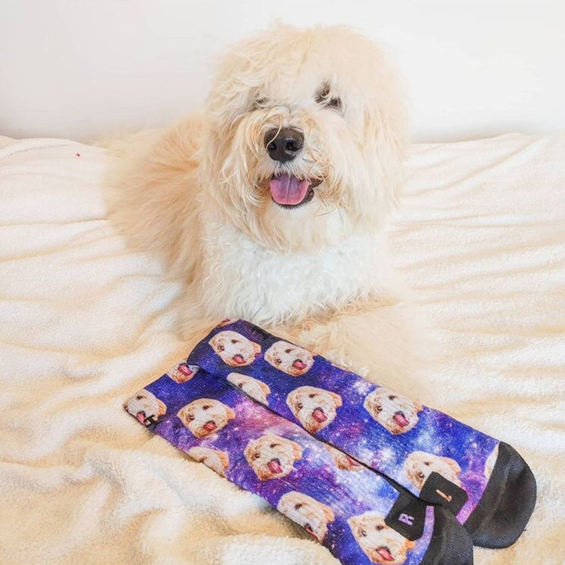 Custom Dog Printed Socks - Customized Photo Socks, Personalized Socks, Custom Printed Socks, Picture Socks, Gift Socks