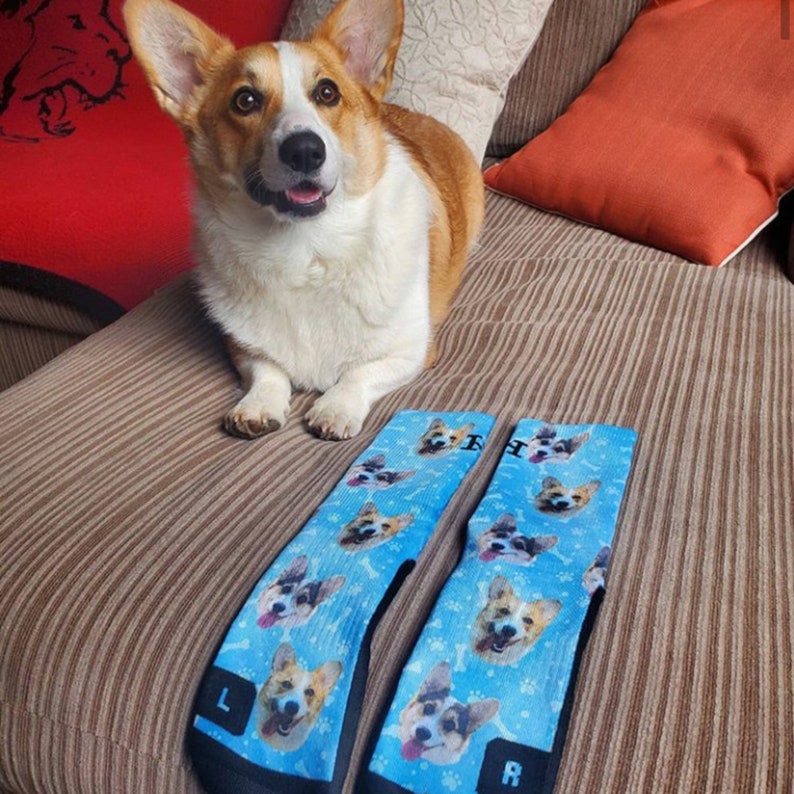Custom Dog Printed Socks - Customized Photo Socks, Personalized Socks, Custom Printed Socks, Picture Socks, Gift Socks
