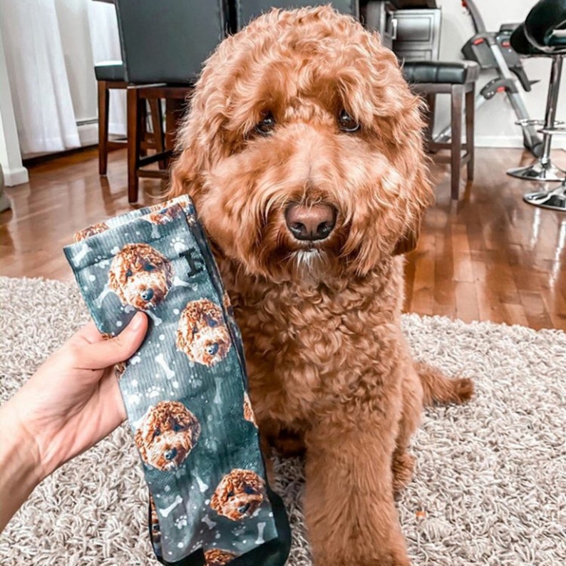 Custom Dog Printed Socks - Customized Photo Socks, Personalized Socks, Custom Printed Socks, Picture Socks, Gift Socks
