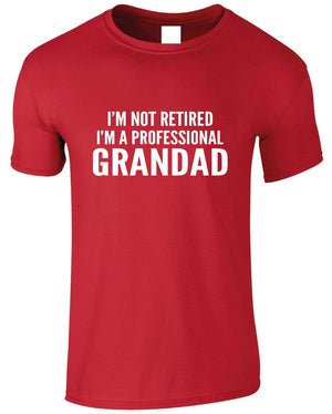 I'm Not Retired I'm a Professional Grandad Shirt, Cool Grandpa Dad, Funny Birthday Gift, Daddy Fathers Day