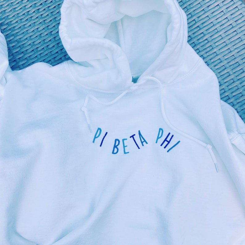 Big Breaker (Shades of Blue) Sorority Greek Letter Hoodie Sweatshirt / Gildan Hoodie Sweatshirt / Big Little Family Letter Hoodie Sweatshirt il_794xN.3296198564_9fzb.jpg