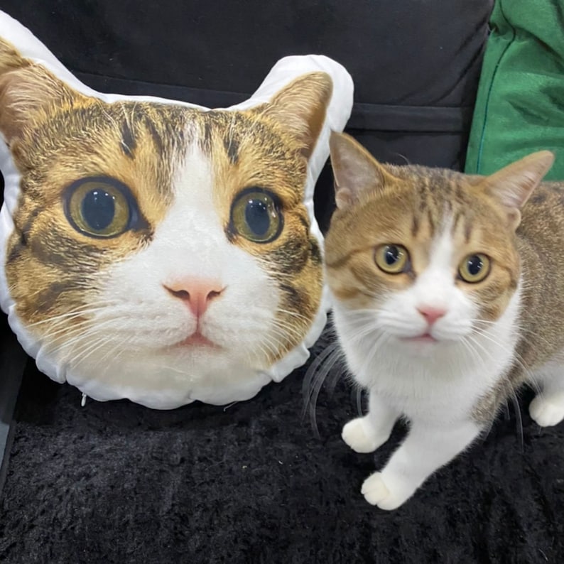 Custom Cat Face Personalized Pet Large Photo Pillow, Dog Pillow, Cat Pillow,Home Decor | Double-sided Print, Valentine's Day Gift, Hospital Gift Cat Lovers Gift il_794xN.3350687496_opa8.jpg