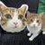 Custom Cat Face Personalized Pet Large Photo Pillow, Dog Pillow, Cat Pillow,Home Decor | Double-sided Print, Valentine's Day Gift, Hospital Gift Cat Lovers Gift il_794xN.3350687496_opa8.jpg
