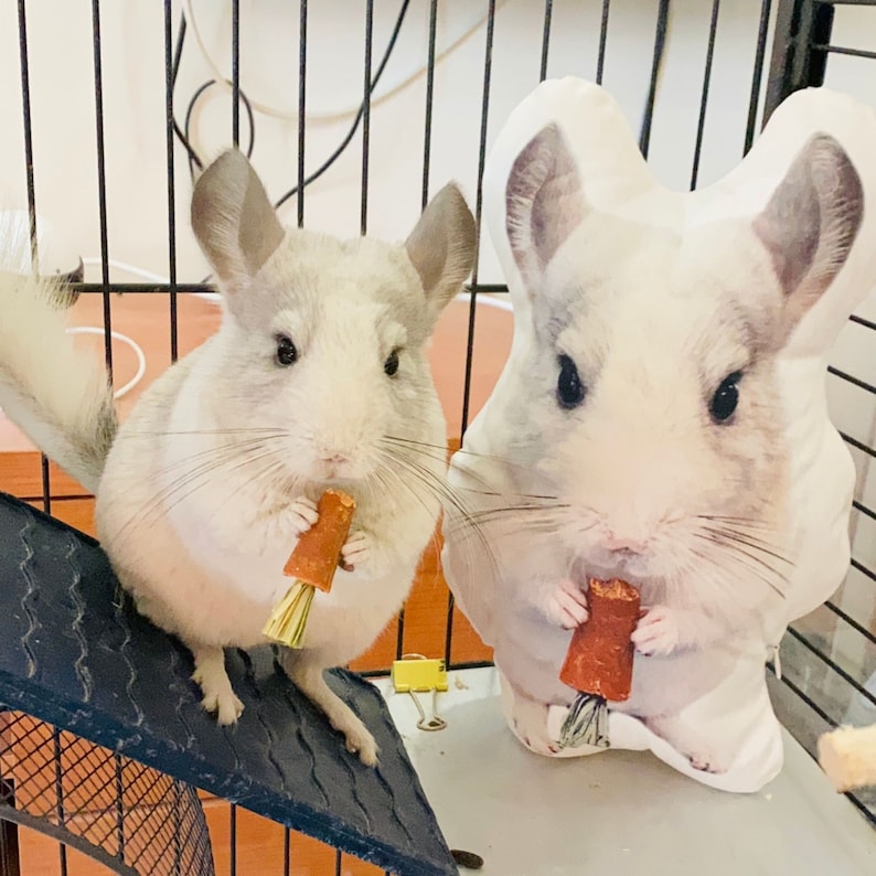 Custom Cat Face Personalized Pet Large Photo Pillow, Dog Pillow, Cat Pillow,Home Decor | Double-sided Print, Valentine's Day Gift, Hospital Gift Cat Lovers Gift il_794xN.3350687504_5f6k.jpg