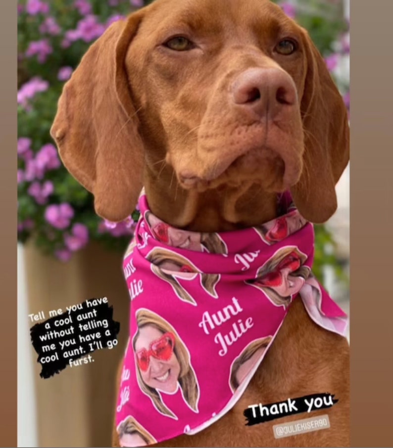 Face Bandana Human Face Pet Face Bandana, Dog Bandana, Personalized Photo Bandana, Custom Face Bandana, Photo Bandana, Dog or human Bandana