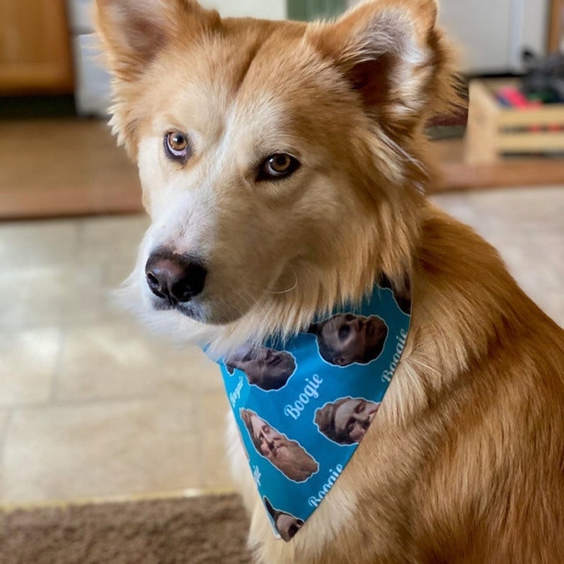 Face Bandana Human Face Pet Face Bandana, Dog Bandana, Personalized Photo Bandana, Custom Face Bandana, Photo Bandana, Dog or human Bandana