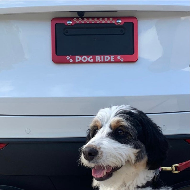 Personalized Heavy Duty License Plate Frame | Laser Engraved, No Decals Here! Custom Aluminum Car Tag Covers