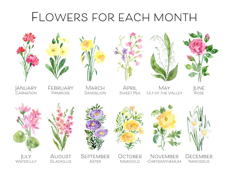 Birthday Gift Birth Flower | Personalised Birth Flower Plaque | Personal Birth Flower | Gift For Her | Age Gift, 18th 21st 30th 50th 60th