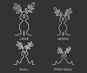 Christmas Light Up Illuminated Reindeer Acrylic Display Name Family Kids Personalised Gift Personalised