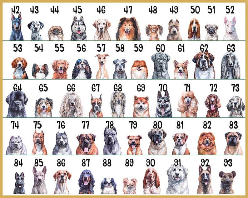 Customized Pet Ornament, Personalized Acrylic Dog Ornament, Dog Picture Ornament, Pet Owner Gift, Dog Name Ornament, Pet Portrait Ornament