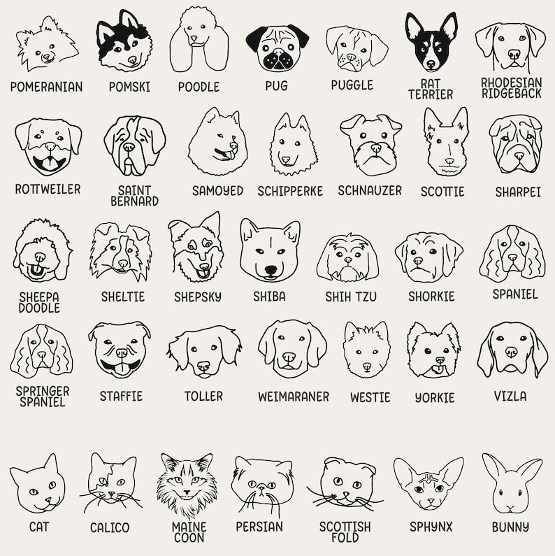 Best Friend Dog Onesie, Baby Shower Gift, Custom baby Onesie, Personalized Dog Onesie, Baby Gift, Newborn Gift, Custom Baby Gift