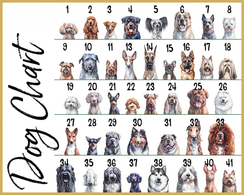 Customized Pet Ornament, Personalized Acrylic Dog Ornament, Dog Picture Ornament, Pet Owner Gift, Dog Name Ornament, Pet Portrait Ornament