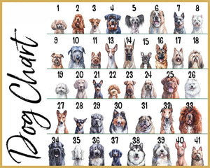 Customized Pet Ornament, Personalized Acrylic Dog Ornament, Dog Picture Ornament, Pet Owner Gift, Dog Name Ornament, Pet Portrait Ornament
