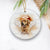 Personalized Pet Memorial Photo Ornament, Pet Loss Gifts, Christmas Dog Memorial Ornament, Dog Memorial Gift, Angel Dog with Wings Ornament