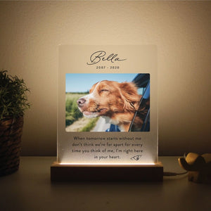 When tomorrow starts without dog Light Up Pet Memorial Plaque | Personalized Gifts for Pet Loss | Custom Quote Plaque for Dog, Cat, Person