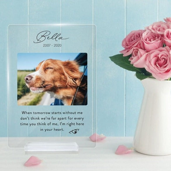When the tomorrow starts without you Memorial Plaque | Personalized Gifts for Pet Loss | Custom Quote Plaque for Dog, Cat, Person il_794xN.4478666462_tqwf.jpg
