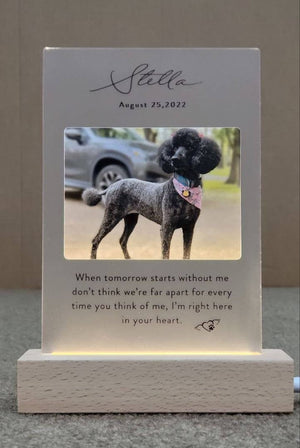 When tomorrow starts without dog Light Up Pet Memorial Plaque | Personalized Gifts for Pet Loss | Custom Quote Plaque for Dog, Cat, Person