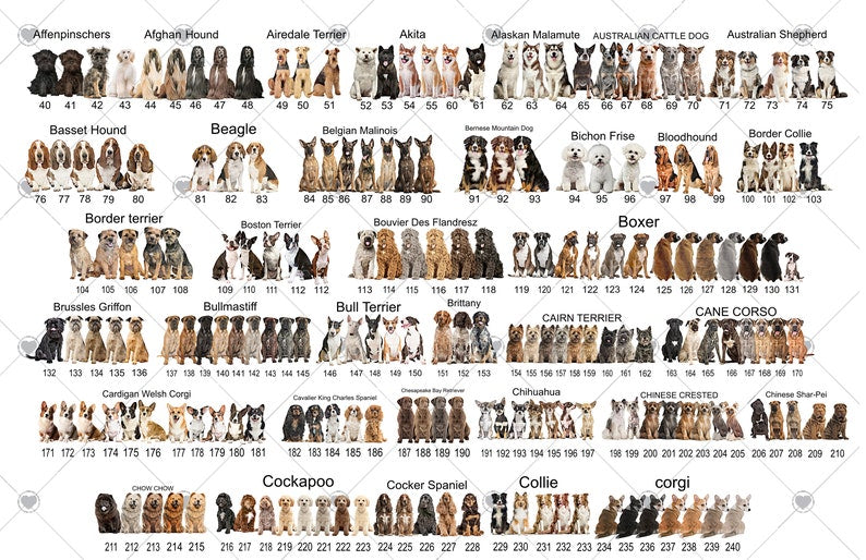 Personalised Dogs First Christmas Bauble, Puppy's 1st Xmas Tree Decoration, Multiple Breeds Available - Swipe to See