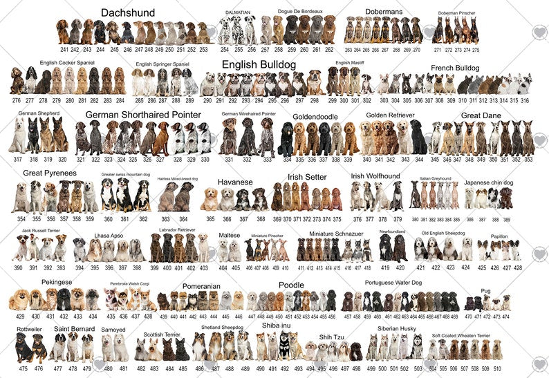 Personalised Dogs First Christmas Bauble, Puppy's 1st Xmas Tree Decoration, Multiple Breeds Available - Swipe to See