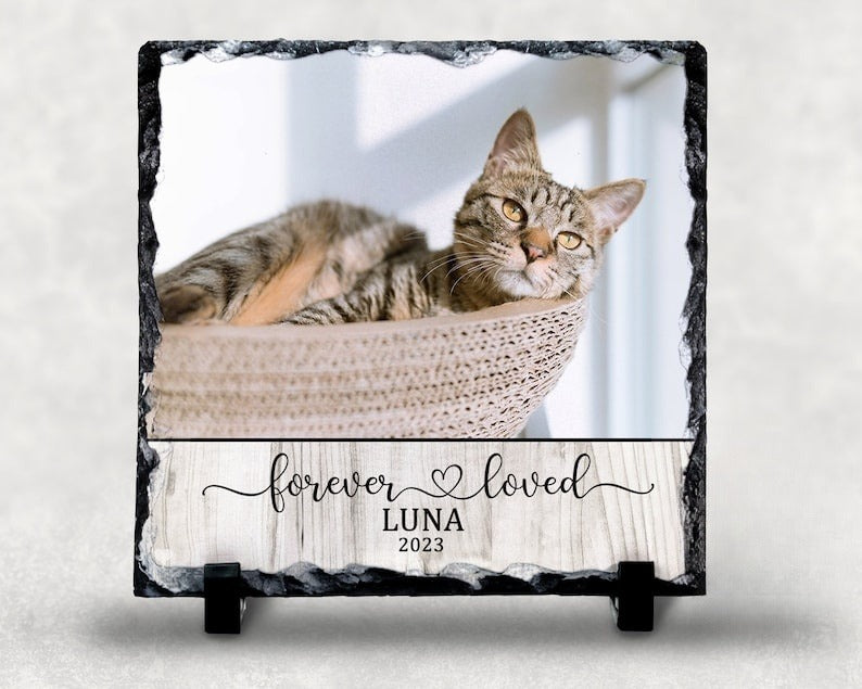 Forever Loved PERSONALIZED Photo Rock Slate, Pet Loss Gift, Dog Memorial Gift, Pet Sympathy Gift, Cat Bereavement Photo Gift, Loss of Pet, Photo Plaque