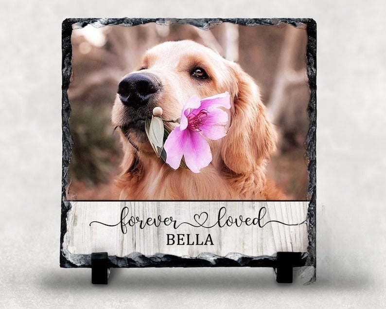 Forever Loved PERSONALIZED Photo Rock Slate, Pet Loss Gift, Dog Memorial Gift, Pet Sympathy Gift, Cat Bereavement Photo Gift, Loss of Pet, Photo Plaque