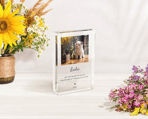 Sympathy Gift for Cat, In Loving Memory of Cat, Hardest Goodbye, Pet Memorial Plaque
