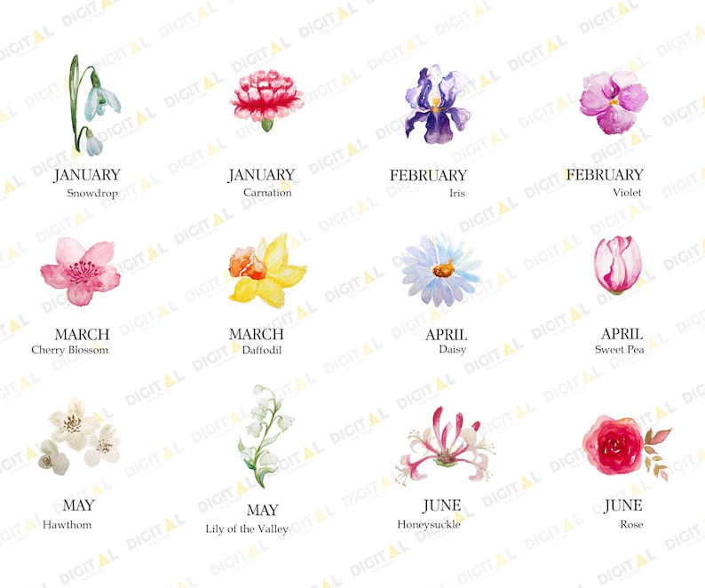 Friendship Gifts, Birthday Gifts For Friends, It Takes A long Time To Grow And Old Friend, Bestie Gifts Mug, Best Friend Birthday Gifts