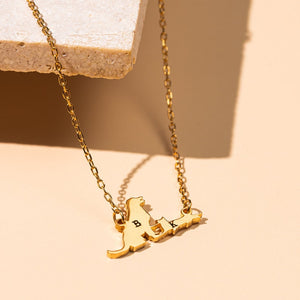 Custom Dog and Cat Initial Necklace - Personalized Pet Initial Necklace - Animal Lover Necklace - Pet Memorial Jewelry - Pet Lover Gift