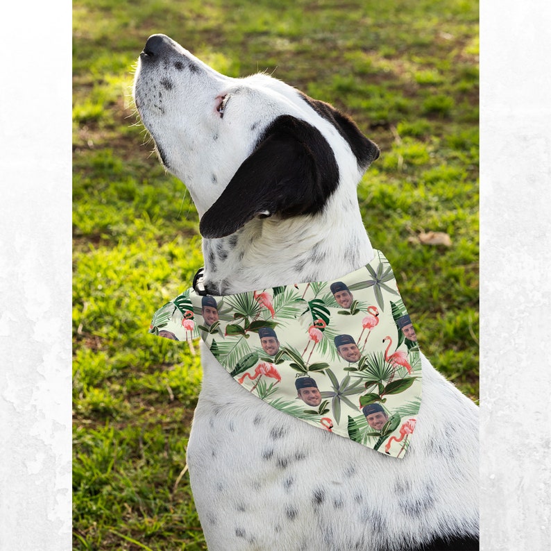 Personalized Dog Bandanas with Pet Photo, Custom Green Hawaiian Pet Bandanas Matching Hawaiian Human Shirt