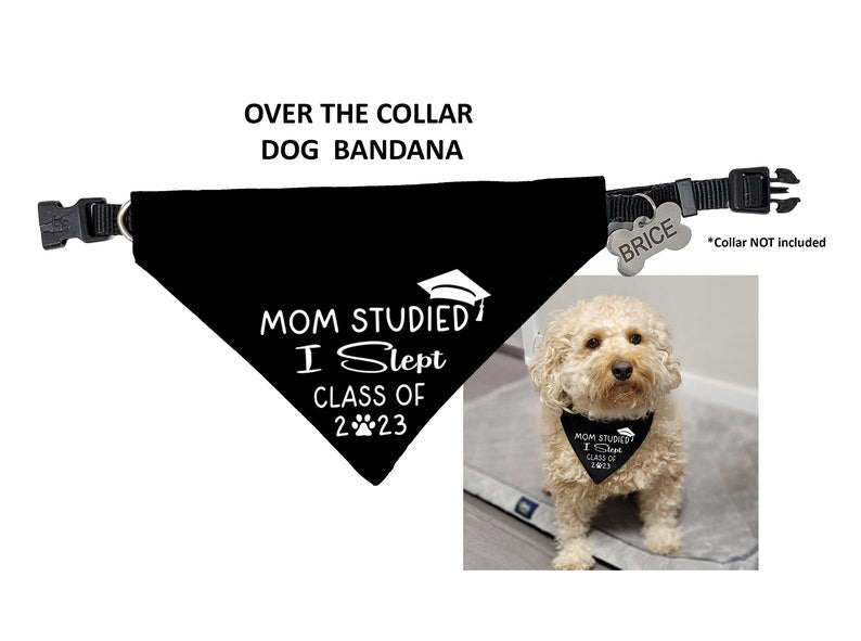 I Gave her all the answers Dog Bandana, Mom Studied I Slept Graduation Bandana, Graduation Gift for Dog Mom, Class of 2025 Dog Dad Gift
