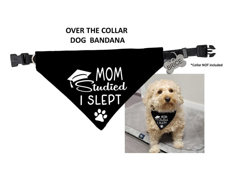 I Gave her all the answers Dog Bandana, Mom Studied I Slept Graduation Bandana, Graduation Gift for Dog Mom, Class of 2025 Dog Dad Gift