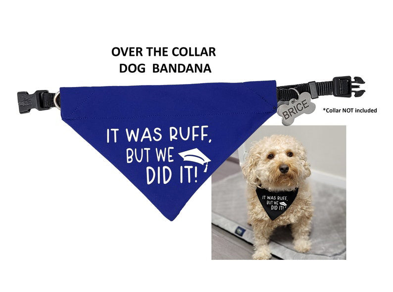 I Gave her all the answers Dog Bandana, Mom Studied I Slept Graduation Bandana, Graduation Gift for Dog Mom, Class of 2025 Dog Dad Gift