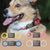 Silent Dog Tag - Dog Tag - Dog Tags for Dogs Personalized - Dog Name Tag - Custom Dog Tag Silent - Silicone Dog Tag Dog Id Tag il_794xN.5023369537_h9hv.jpg