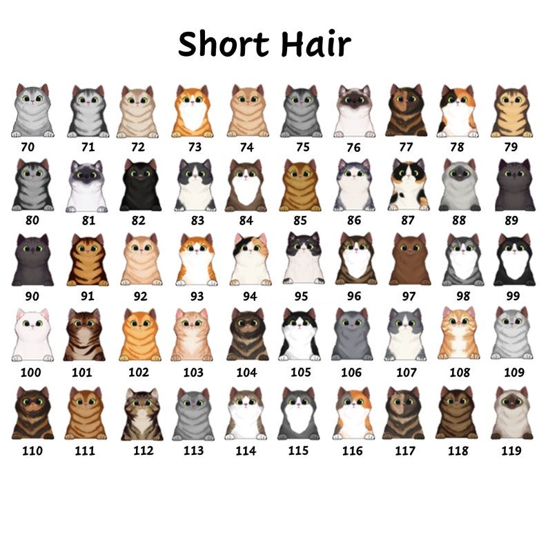 Witty Cat, A Wicked Witch And Her Little Monster Live Here With One Handsome Devil Personalized Flag