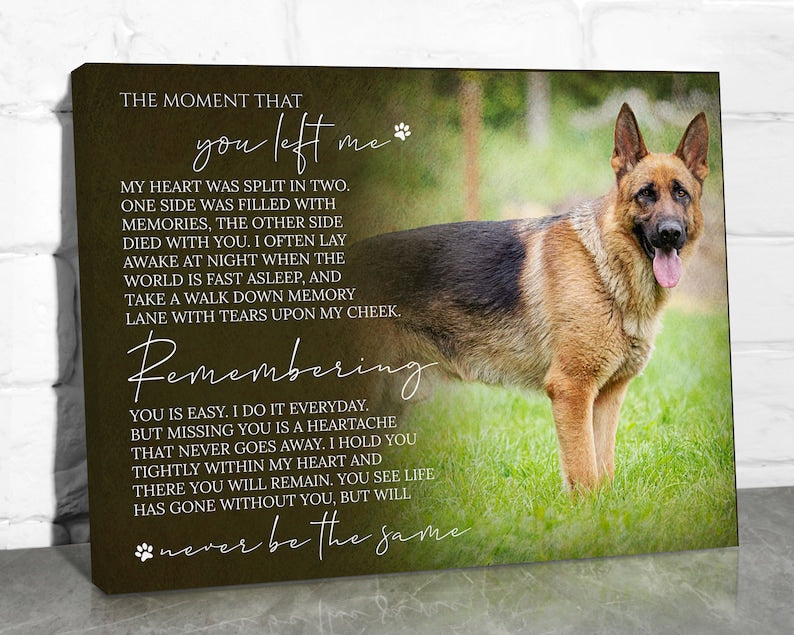 Custom Dog Memorial Gift, Dog Loss Gifts for Owner, Pet Memorial Frame w/ Photo & Quote, Cat Passed Away Remembrance Condolence Wall Decor