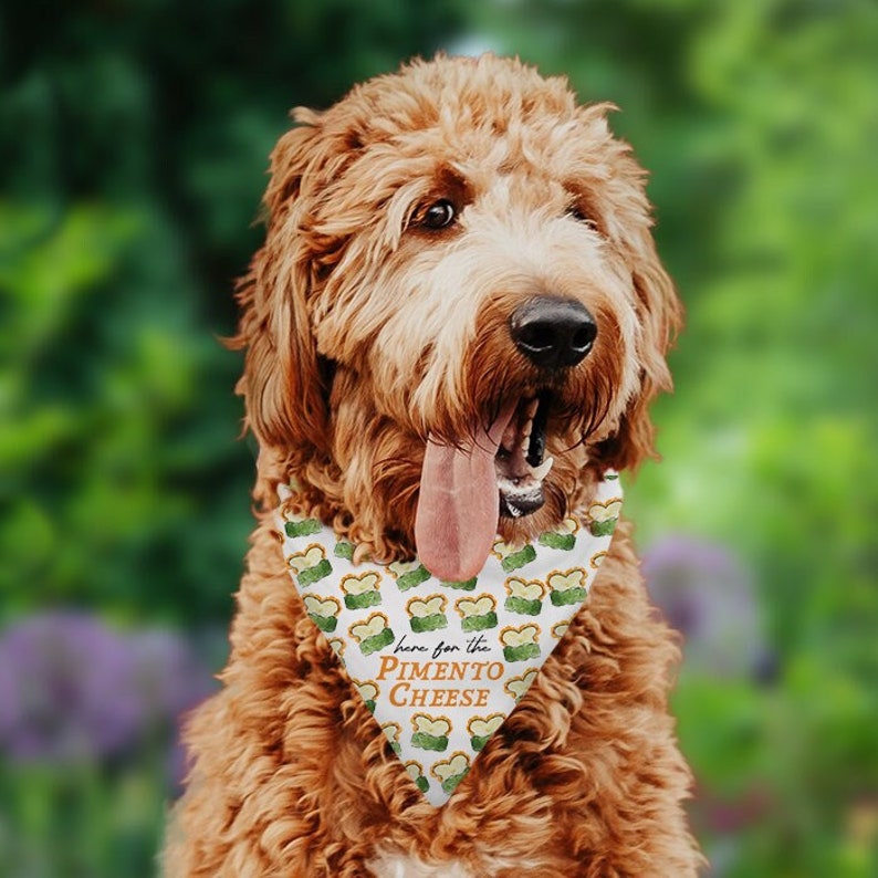 Here for the Pimento Cheese Golf Dog Tie On Bandana | Golf Tournament Patron Pet Bandana, Pimento Cheese Dog Bandana