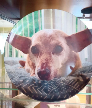 Customized Plate, Custom Photo on Plate, Custom Name Plate, Custom Plates, Personalized Plates, Custom Gift, Custom Picture On Plate