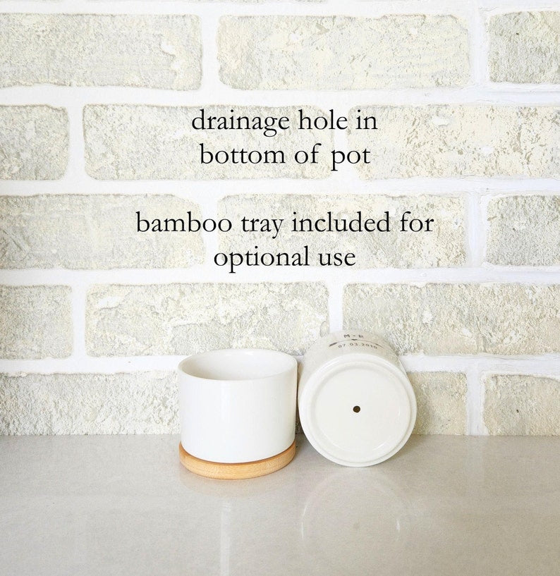 Bonus Mom Gift, Gift for Stepmom, Personalized Planter, Custom Flower Pot, Mother's Day Gift for Stepmom, Gift from Bonus Daughter