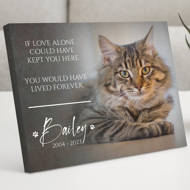 Custom Dog Memorial Gift, Dog Loss Gifts for Owner, Pet Memorial Frame w/ Photo & Quote, Cat Passed Away Remembrance Condolence Wall Decor